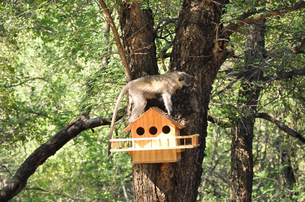 Treetops マールロス・パーク エクステリア 写真